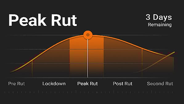 RutCast Feature