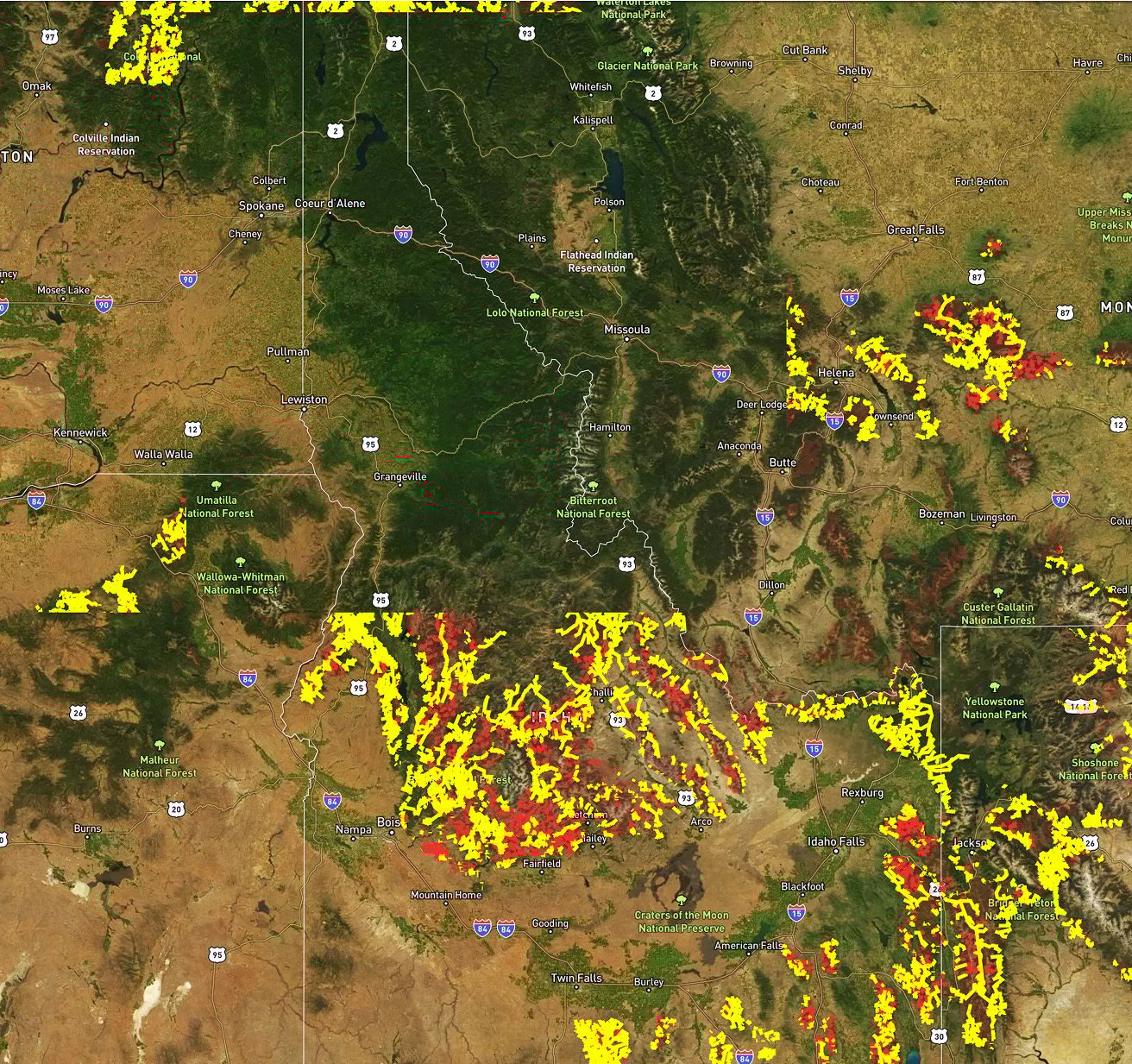 Wildfires and Timber Cuts