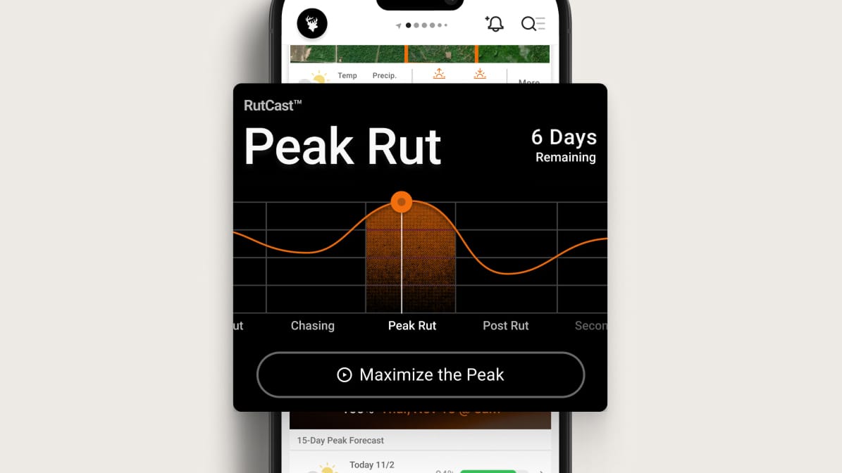 Perfect the Rut