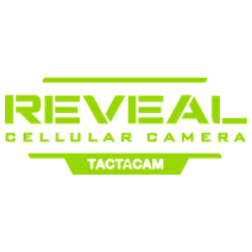 reveal-1-1.png